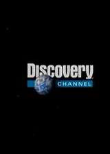 Discovery-ٴֺ
