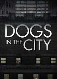 狗狗在都市 第一季海报